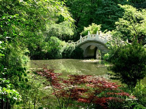  Die Vogelinsel! Eine Oase der Ruhe inmitten des geschäftigen Vuhan