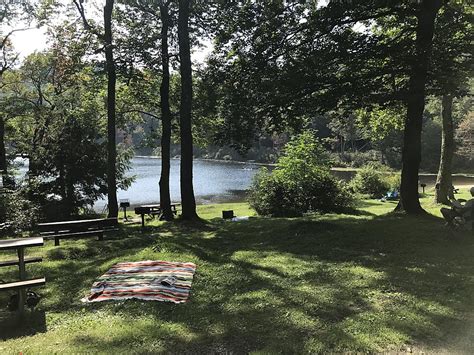 Der Linqing-Teich: Ein verstecktes Juwel der Geschichte und Entspannung!