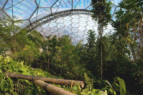 The Eden Project - Ein tropisches Paradies mitten in Cornwall!